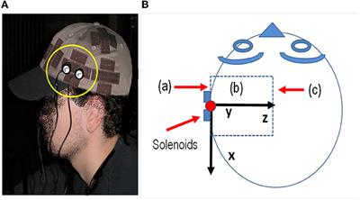 A mathematical model and experimental procedure to analyze the cognitive effects of audio frequency magnetic fields